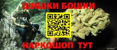 СК Можга